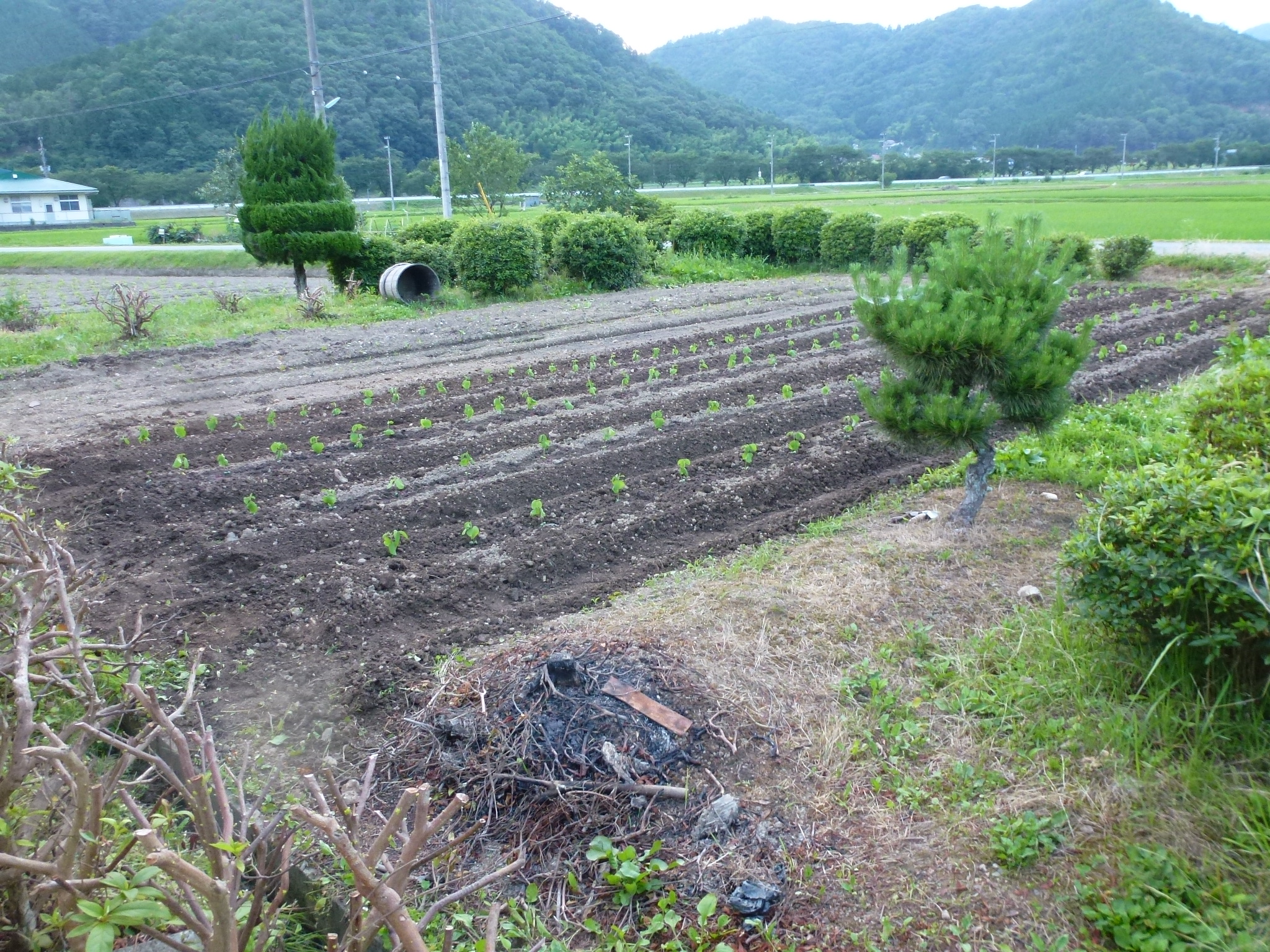 P1050686.JPG