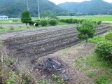 img0000.jpg