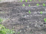 img0008.jpg