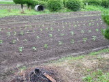 img0008.jpg