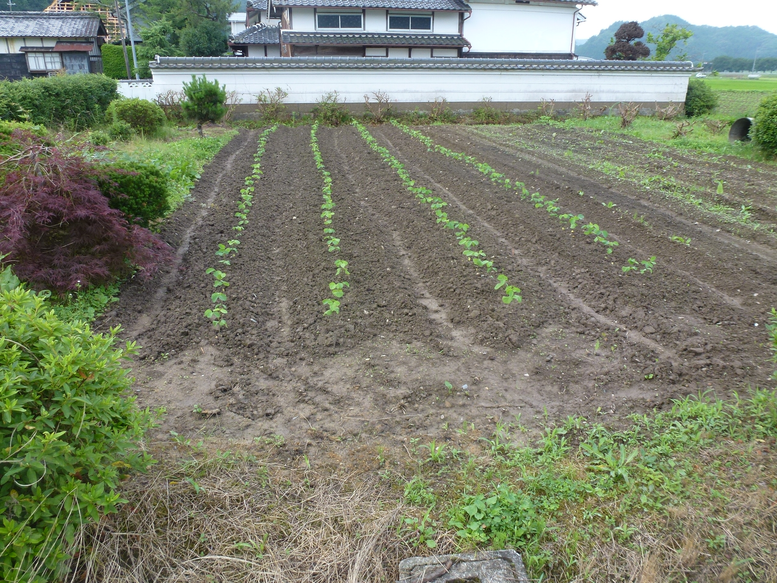 P1050744.JPG