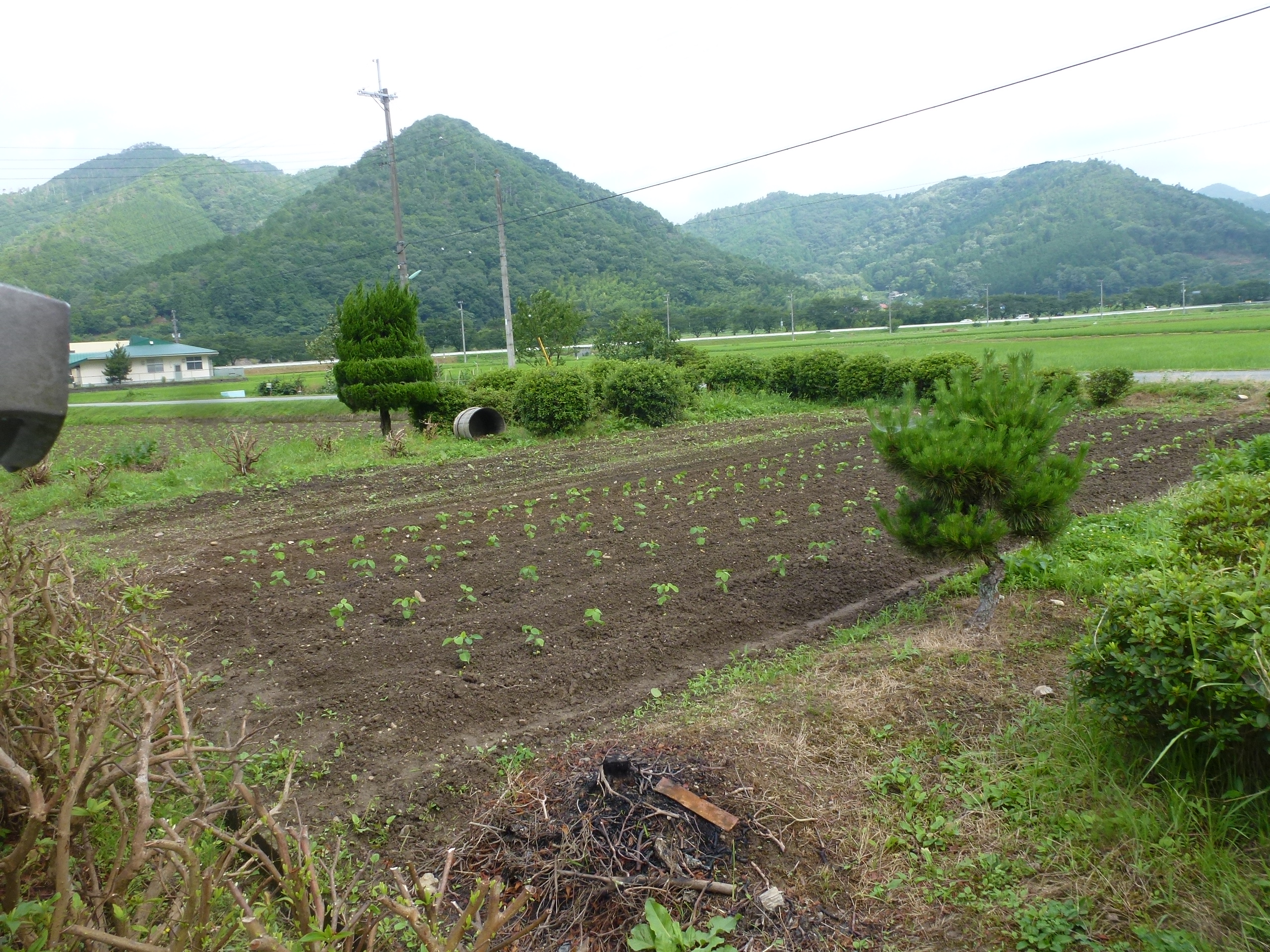 P1050752.JPG