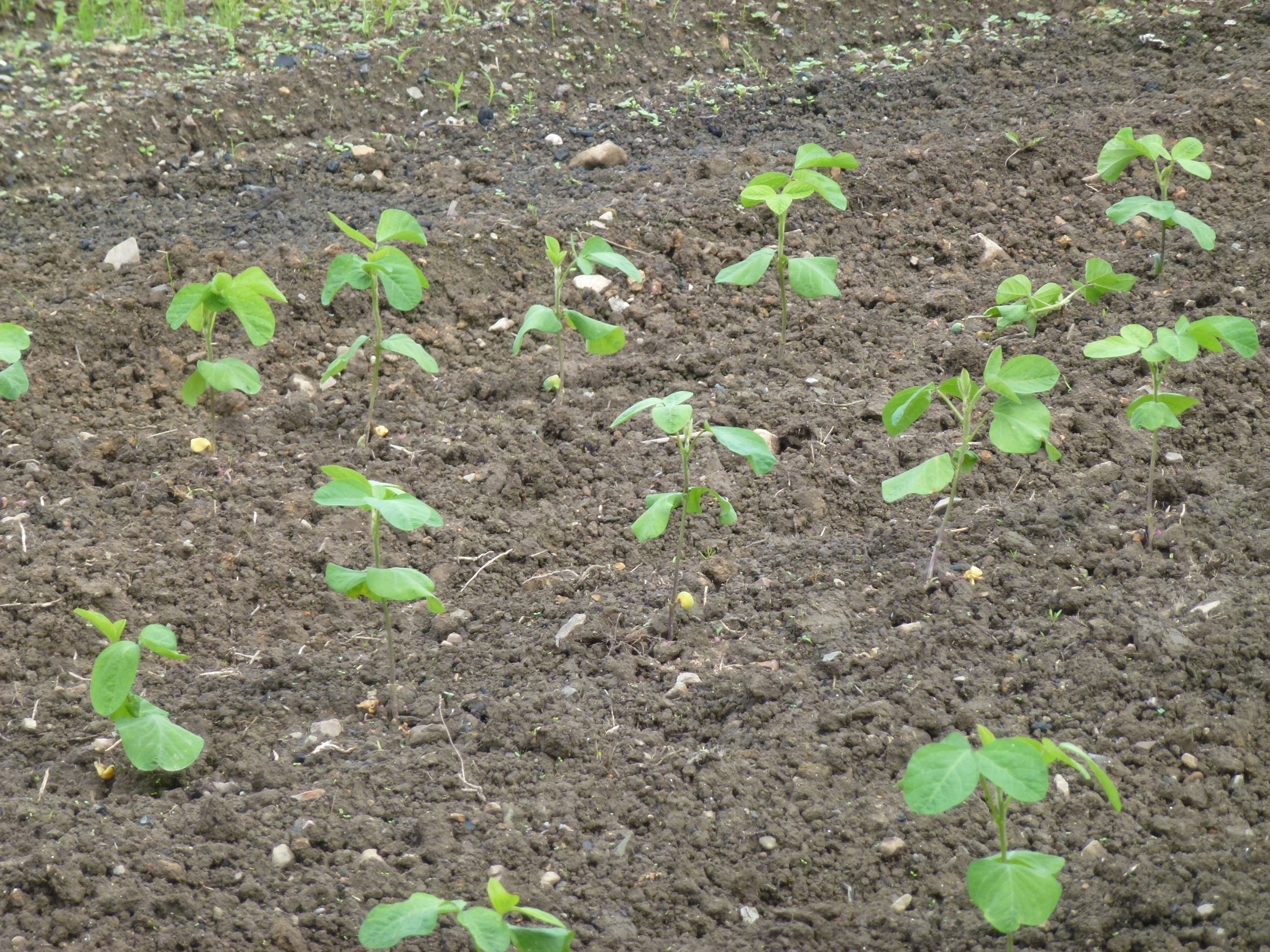P1050754.JPG