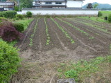 img0005.jpg