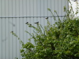 img0012.jpg