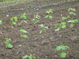 img0015.jpg
