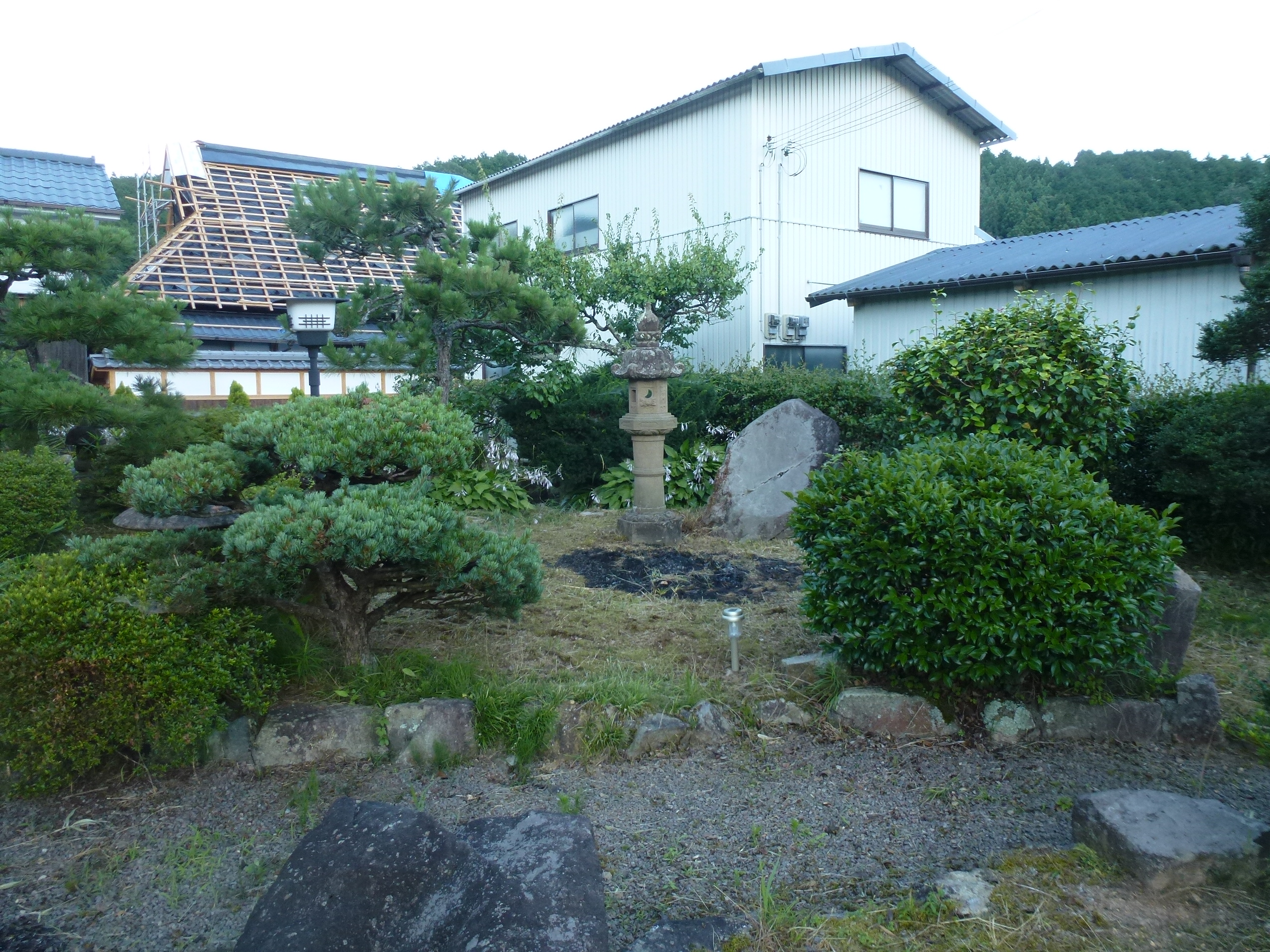 P1050769.JPG