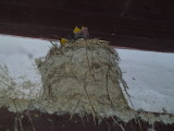 img0007.jpg