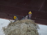 img0009.jpg