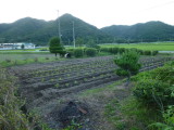 img0012.jpg