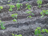 img0014.jpg