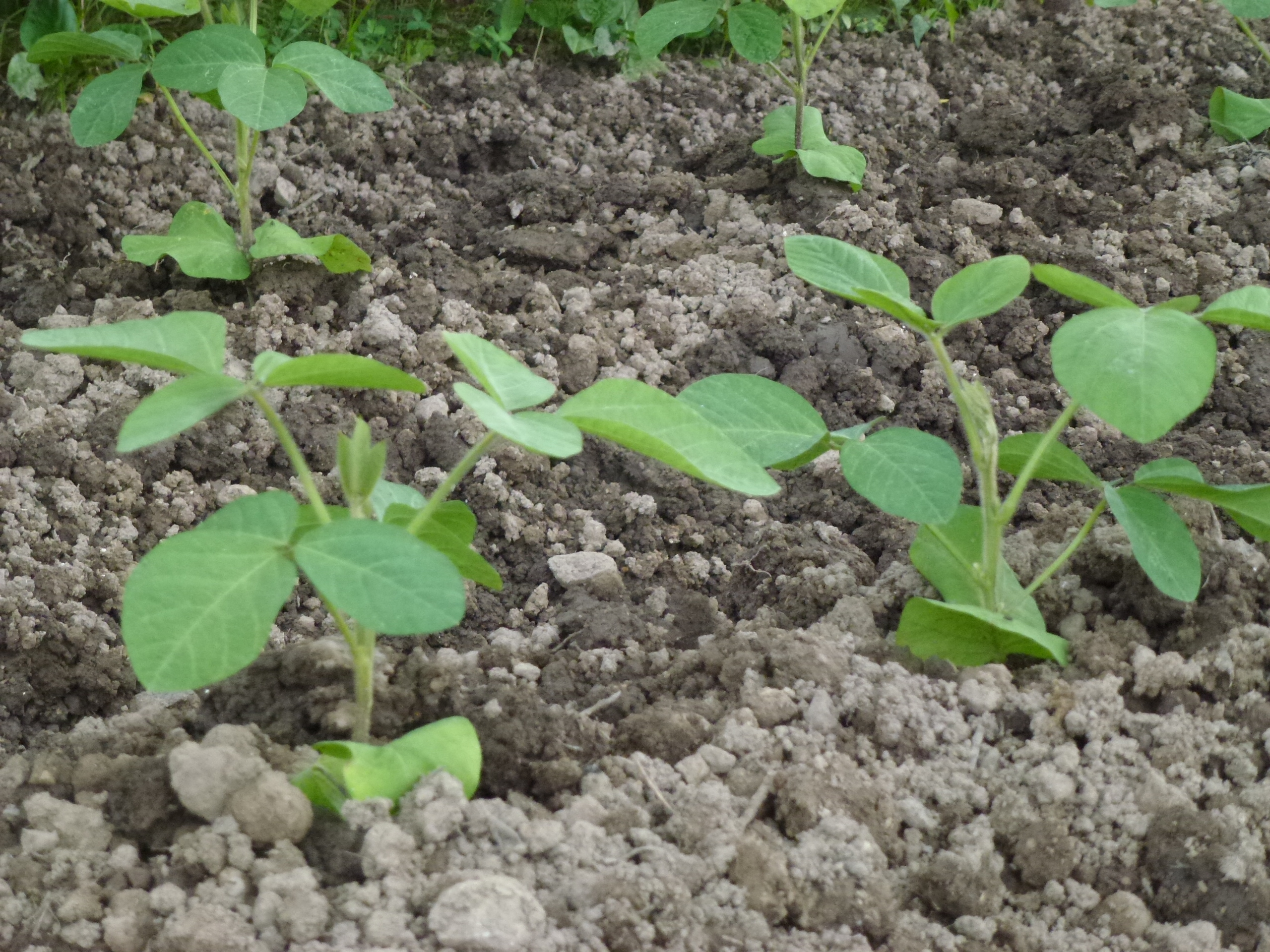 P1050791.JPG