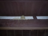 img0002.jpg