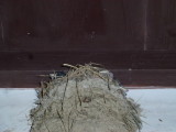 img0003.jpg