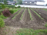 img0004.jpg