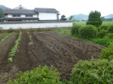 img0009.jpg
