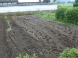 img0010.jpg