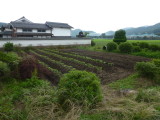 img0015.jpg