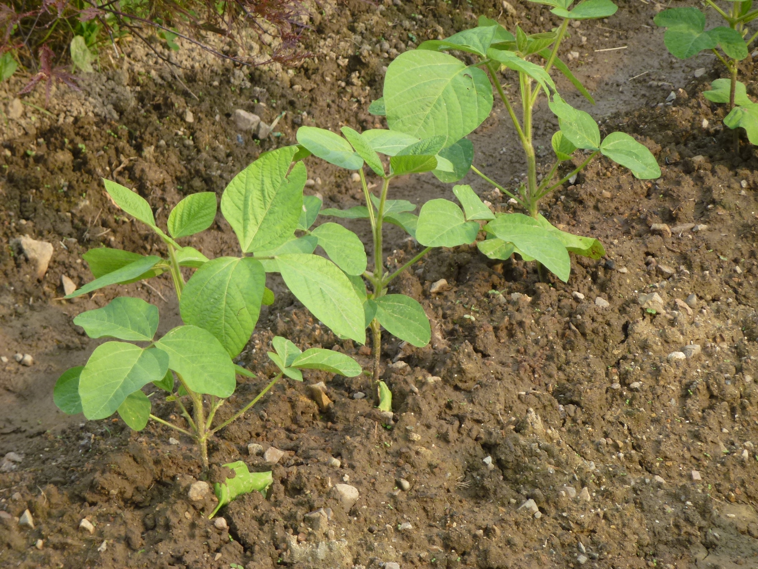 P1050833.JPG