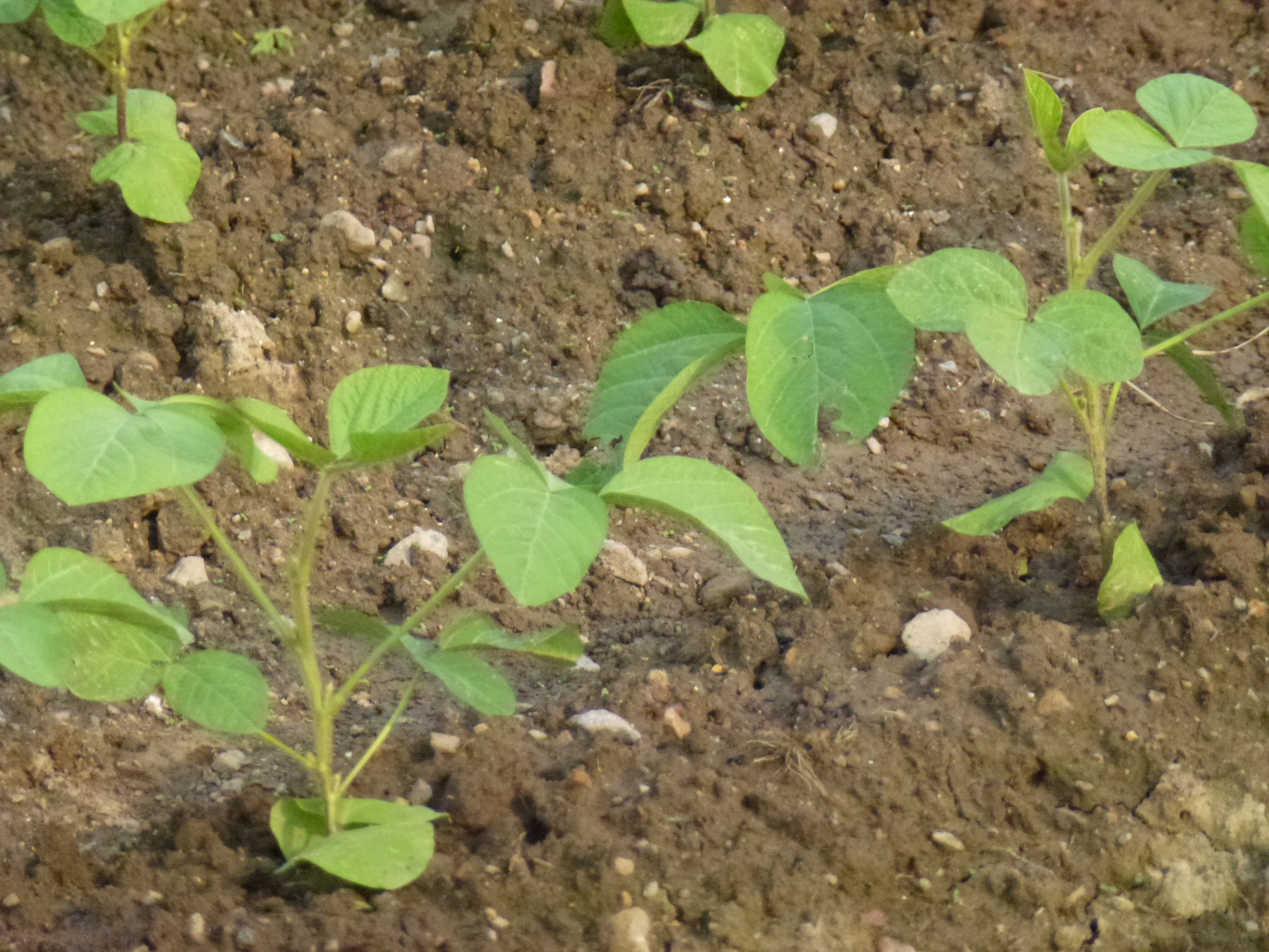 P1050836.JPG