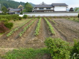 img0007.jpg