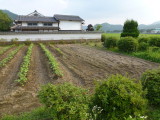img0008.jpg