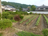 img0009.jpg