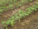 img0012.jpg