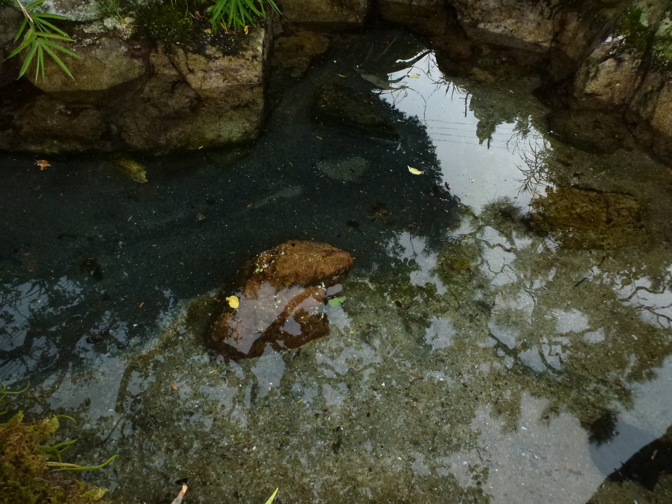 P1050843.JPG