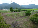 img0000.jpg