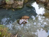 img0007.jpg