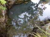 img0009.jpg