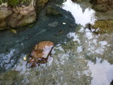 img0010.jpg