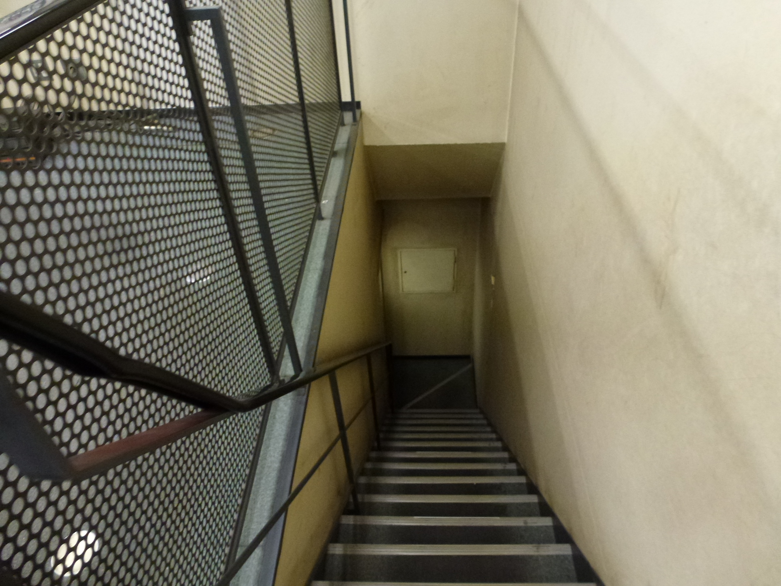 P1050861.JPG