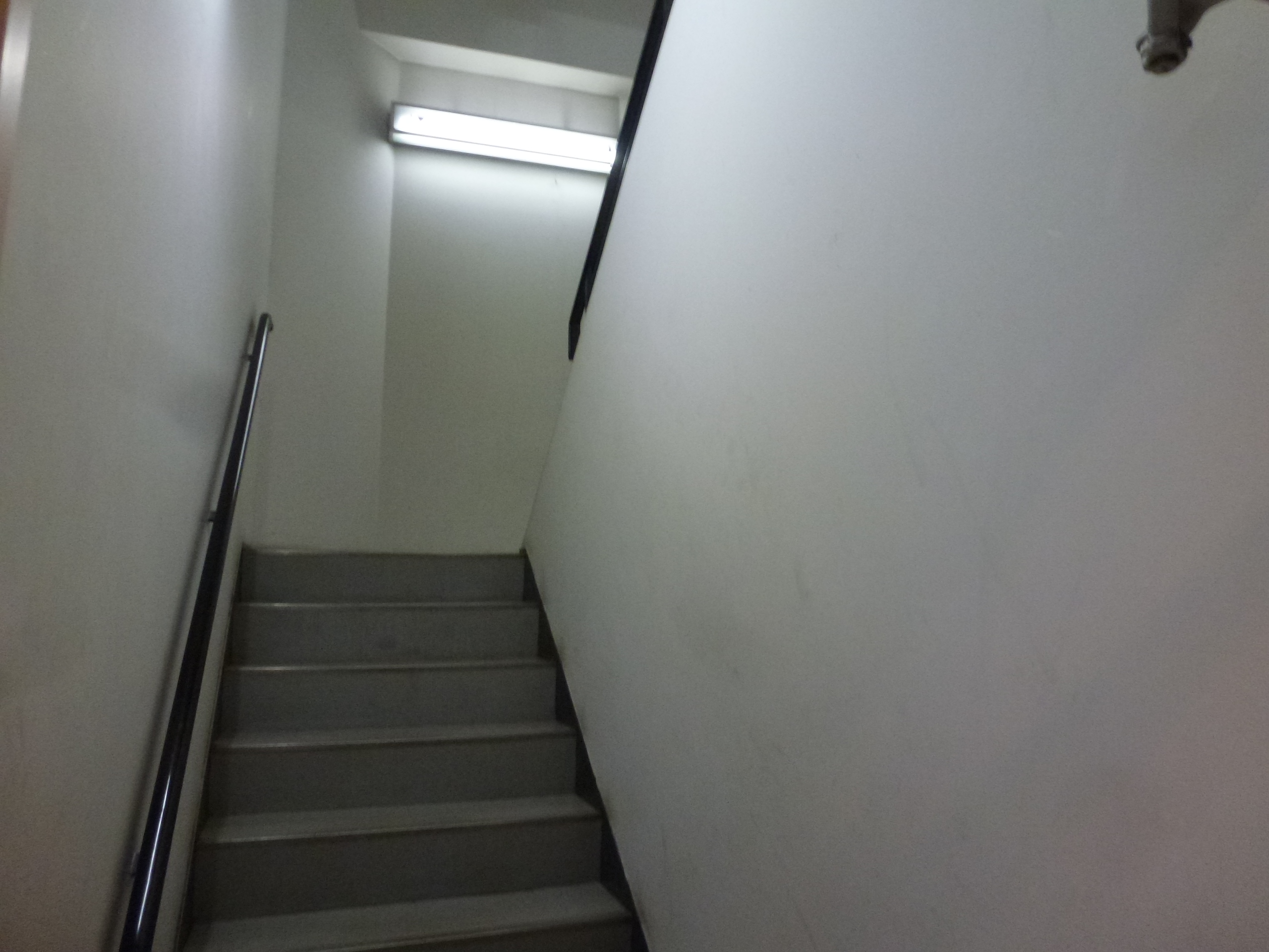 P1050891.JPG