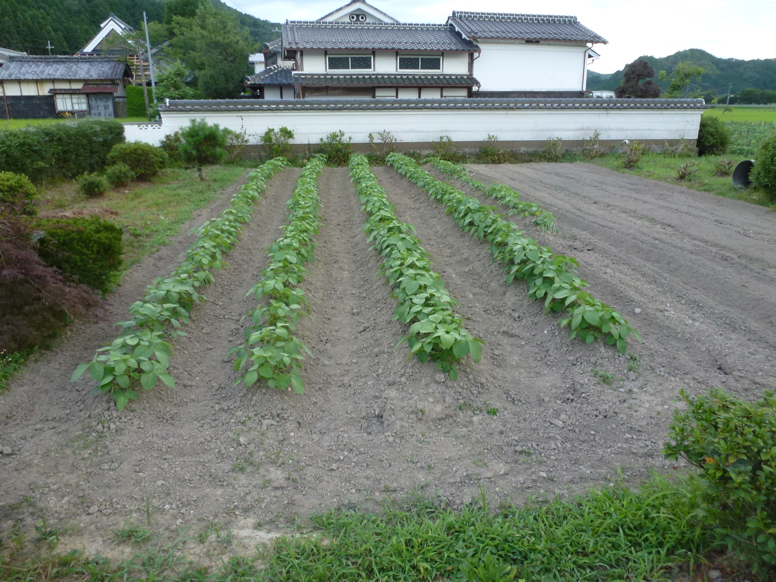 P1050911.JPG