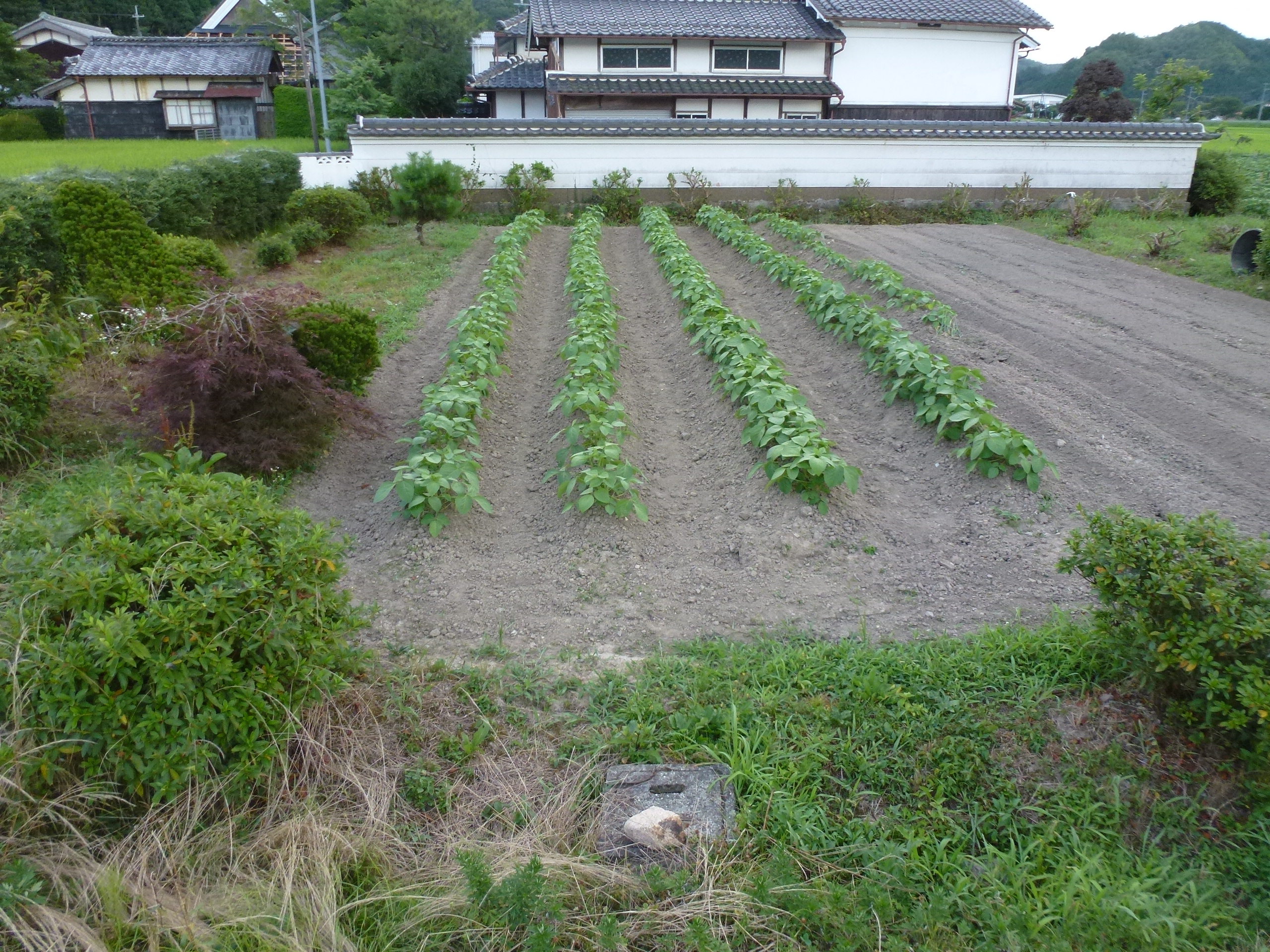 P1050915.JPG