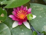 img0000.jpg