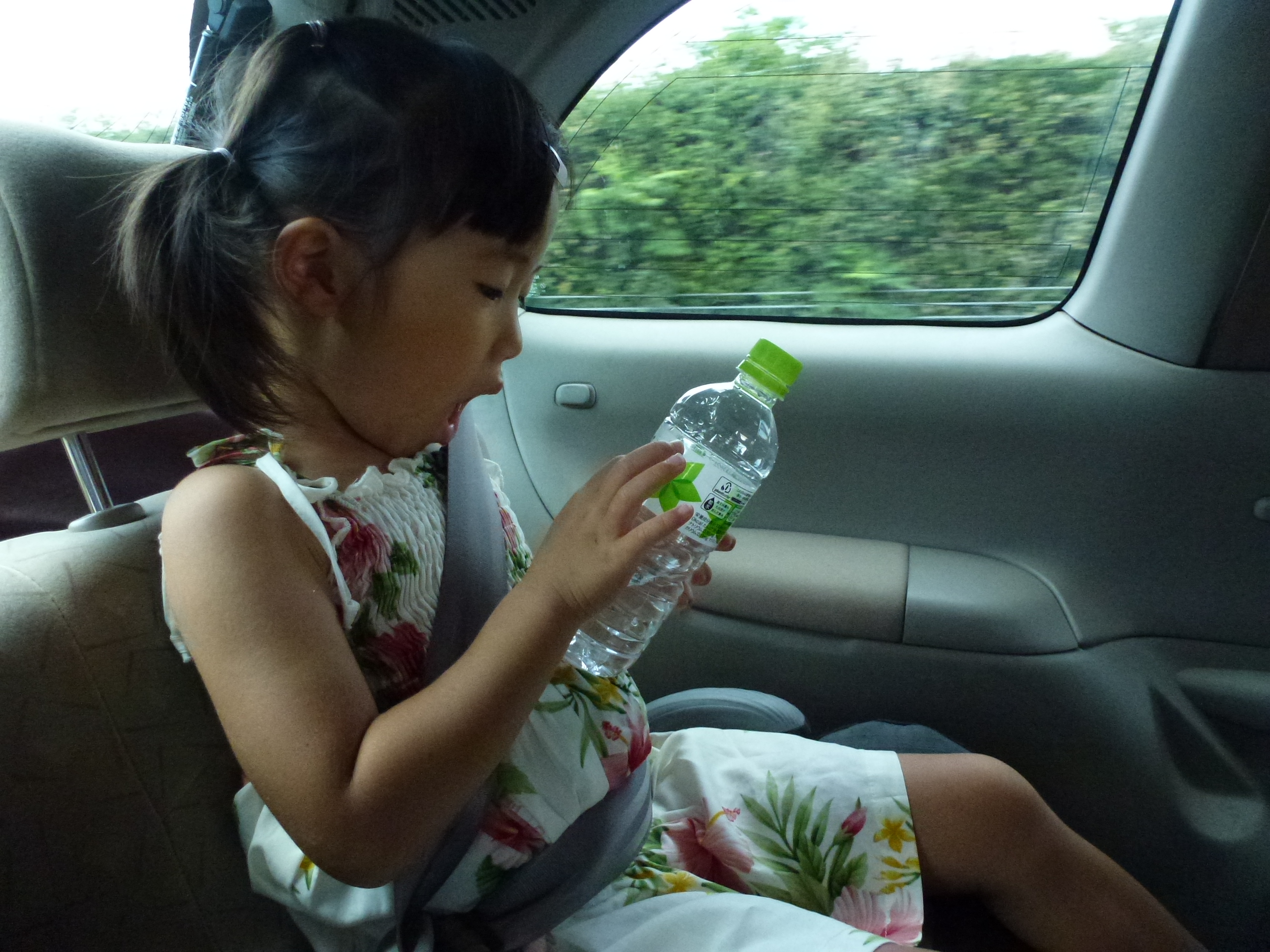 P1050954.JPG