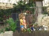 img0016.jpg