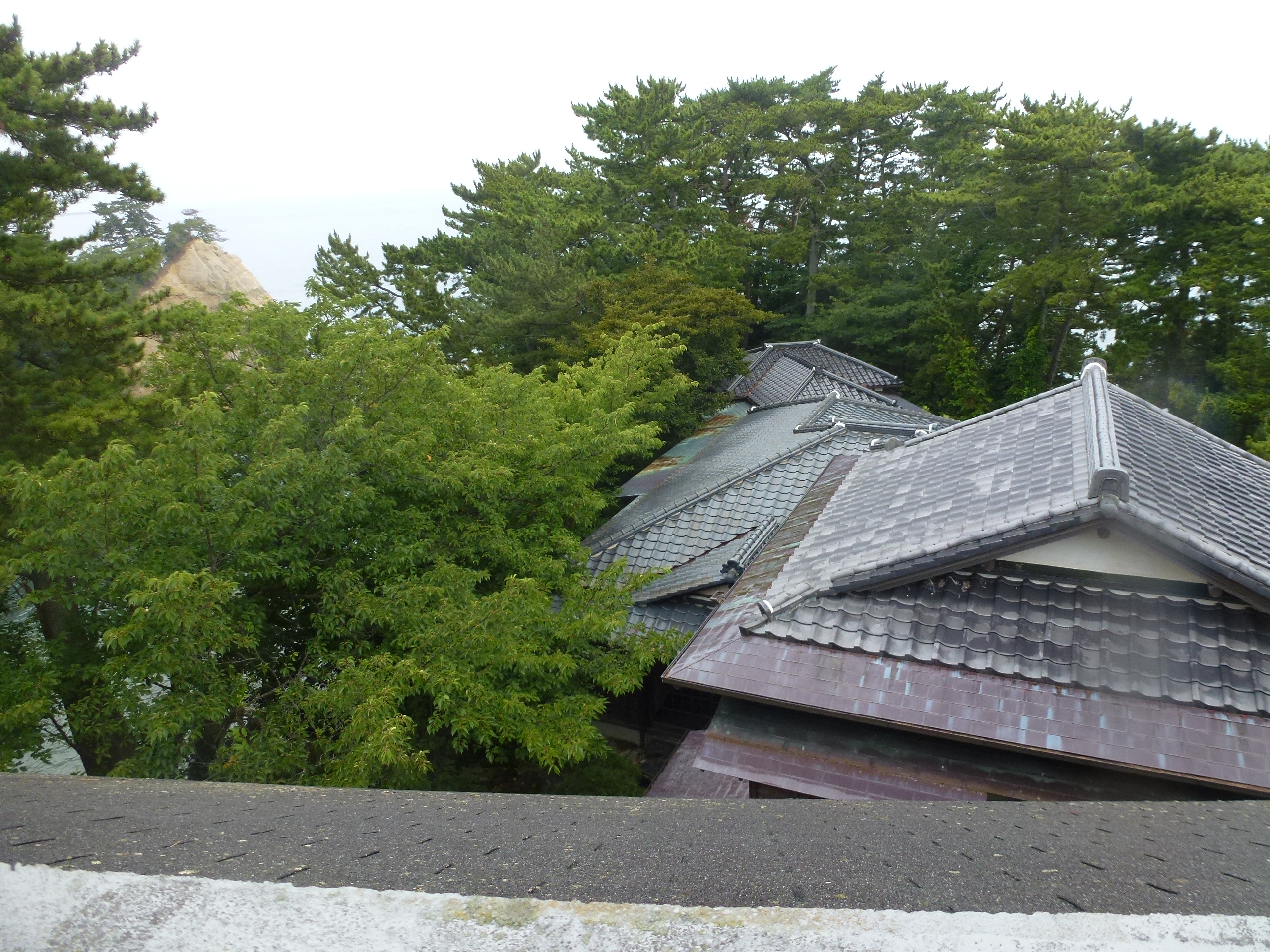P1060076.JPG