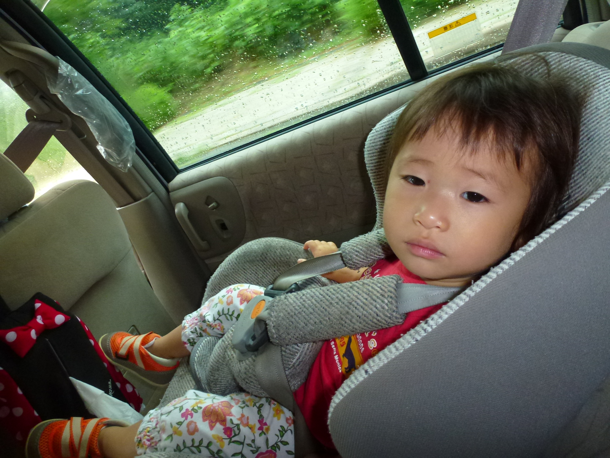 P1060092.JPG