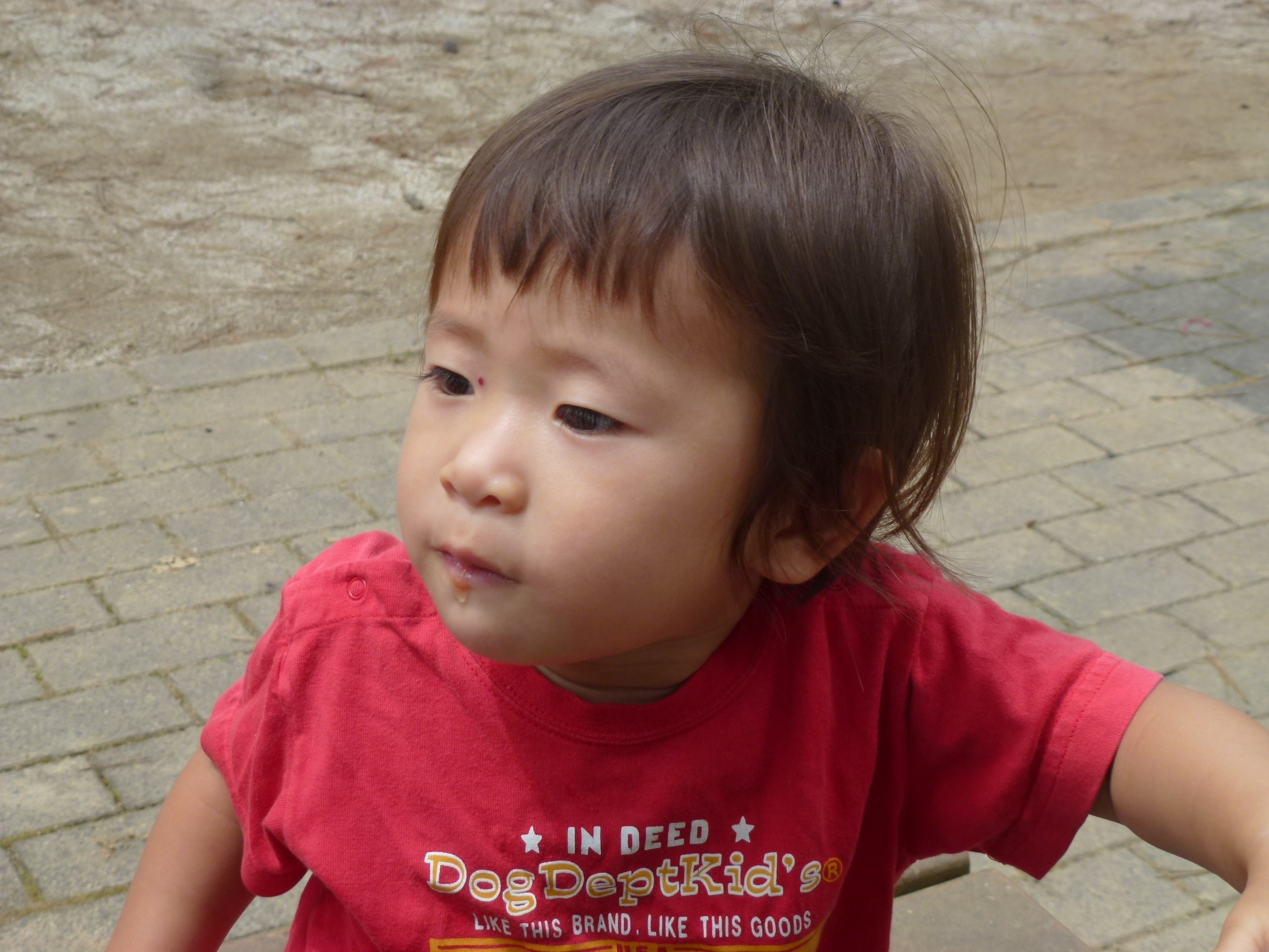 P1060103.JPG