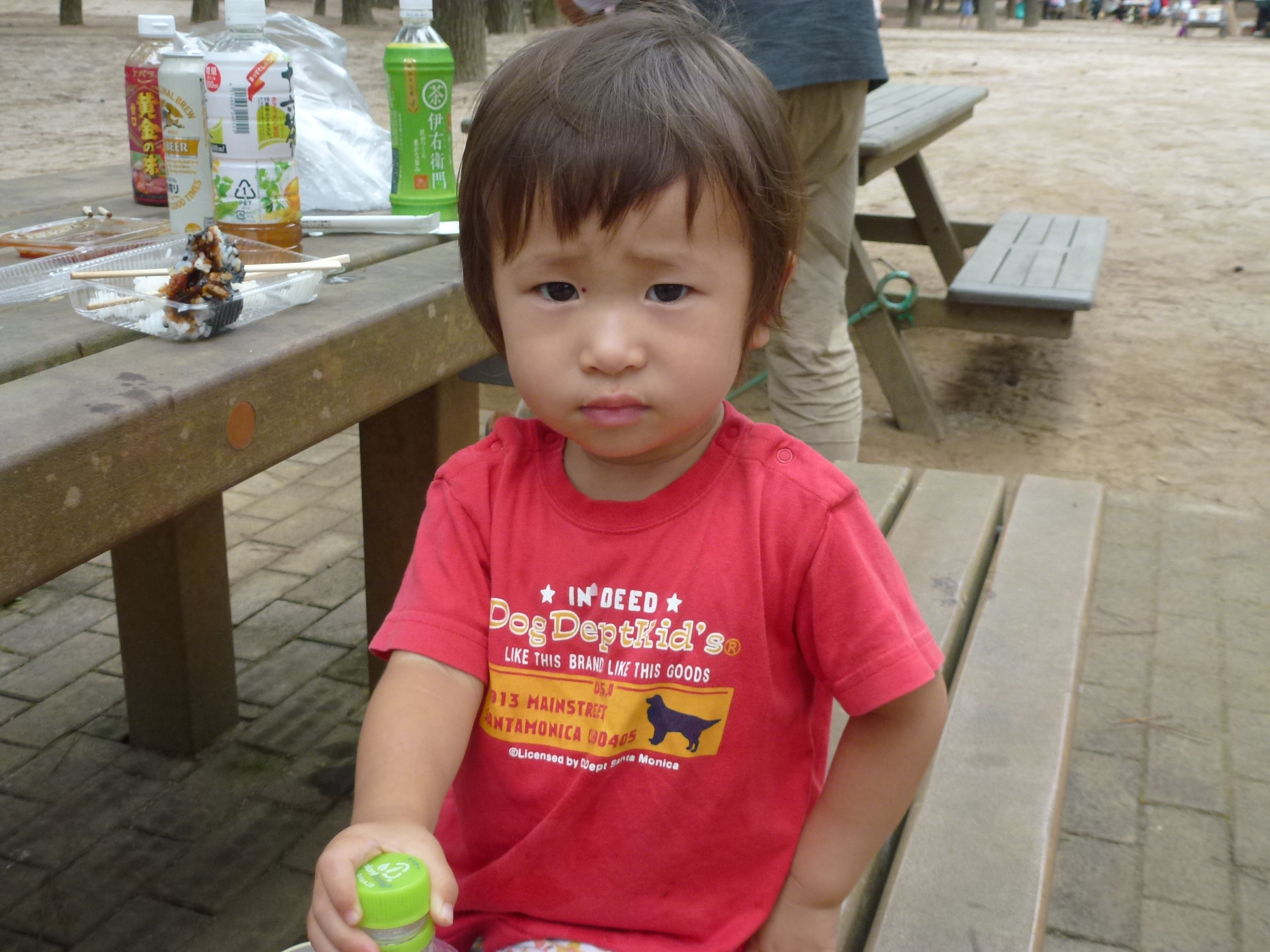 P1060129.JPG