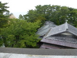 img0035.jpg