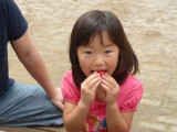 img0061.jpg
