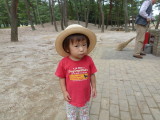 img0064.jpg