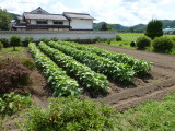 img0005.jpg