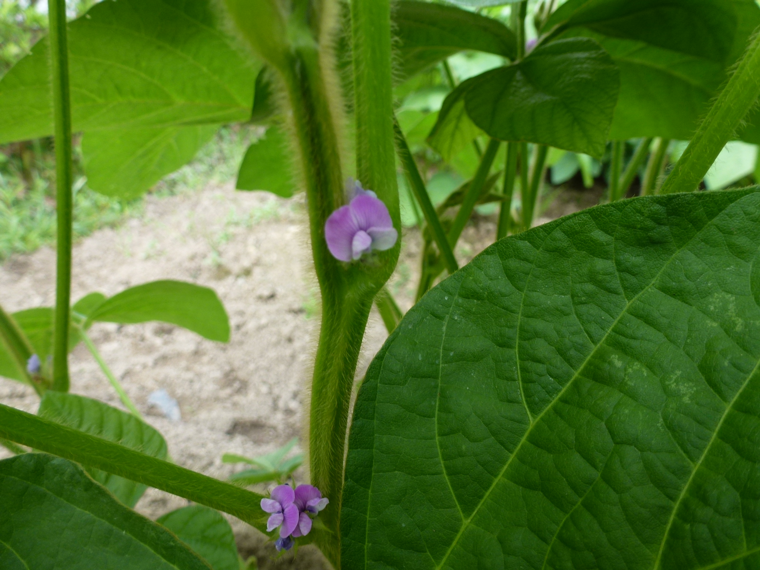 P1060304.JPG