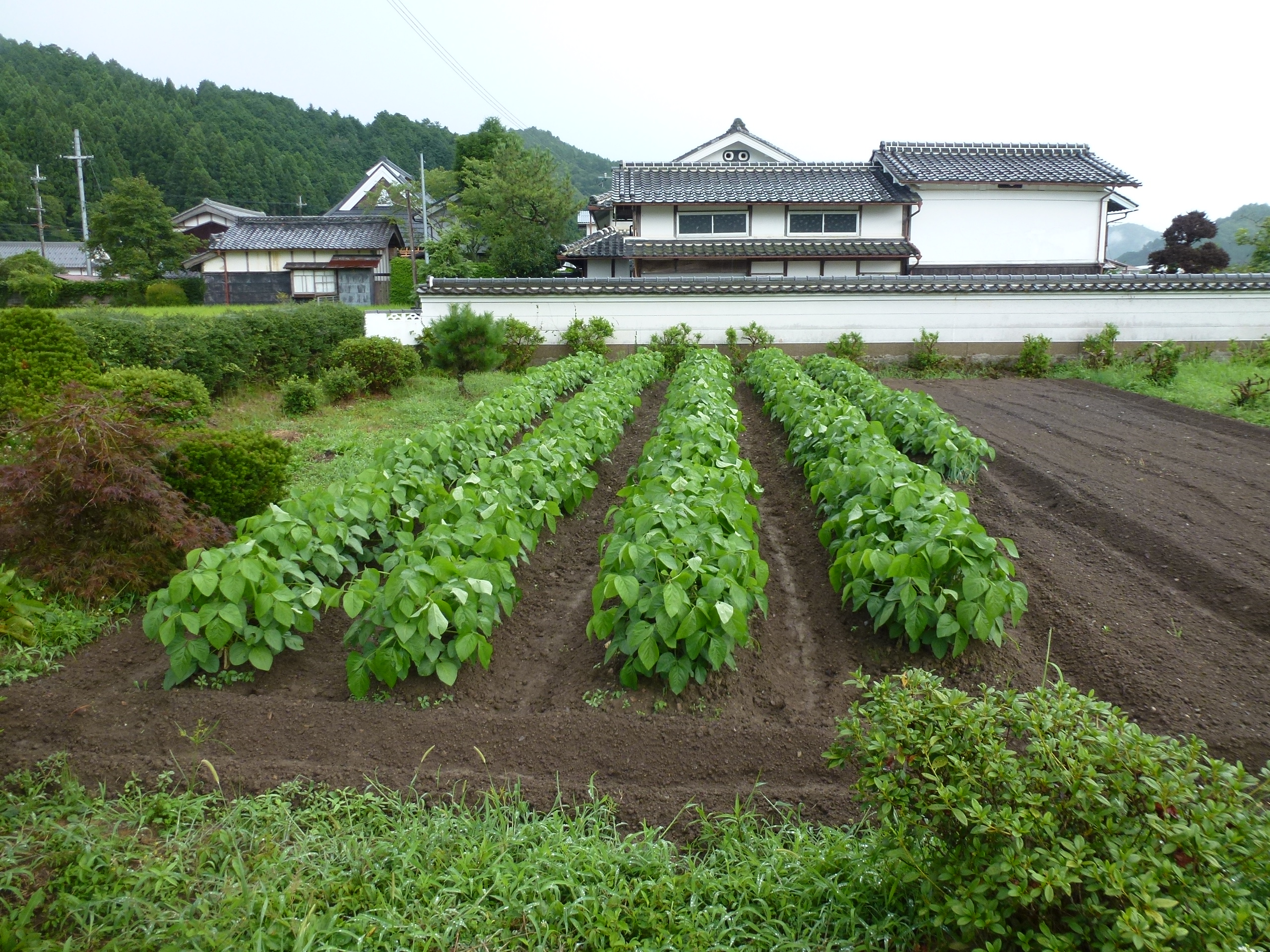 P1060310.JPG